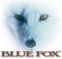 Пополнение линейки блесен Blue Fox